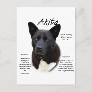 Cartão Postal Design de História de Akita Negro