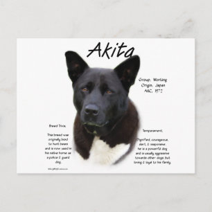 Cartão Postal Design de História de Akita Negro