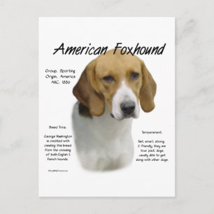 Cartão Postal Design de História de Foxhound Americano