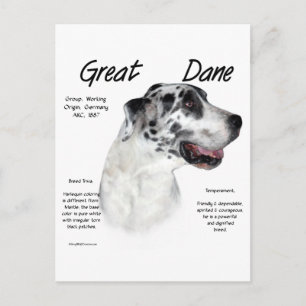 Cartão Postal Design de História de Grande Dane de Harlequin