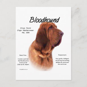 Cartão Postal Design de História do Bloodhound