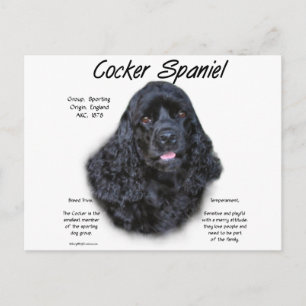 Cartão Postal Design de História do Cocker Spaniel (preto)
