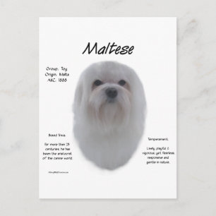 Cartão Postal Design de História Maltês