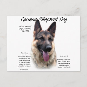 Cartão Postal Design de Histórico de Cachorro german shepherd (s