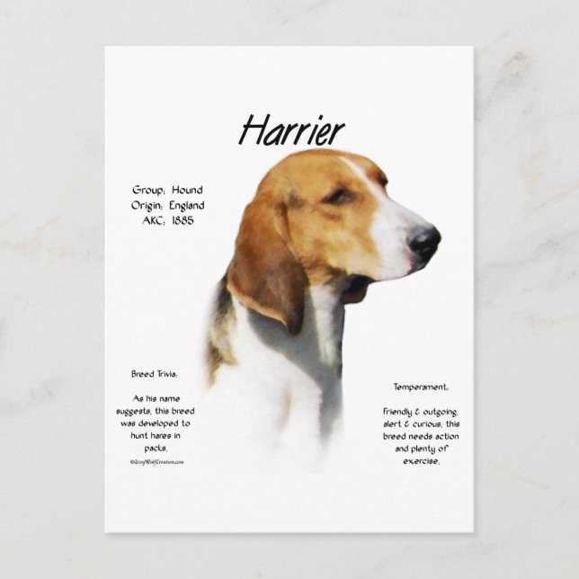 Cartão Postal Design de histórico de Harrier (Frente)