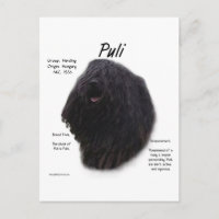 Design de Histórico de Puli