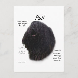 Cartão Postal Design de Histórico de Puli