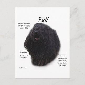 Cartão Postal Design de Histórico de Puli