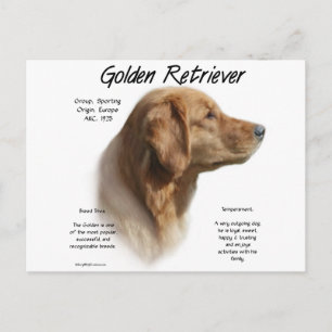 Cartão Postal Design de Histórico de Retriever de ouro