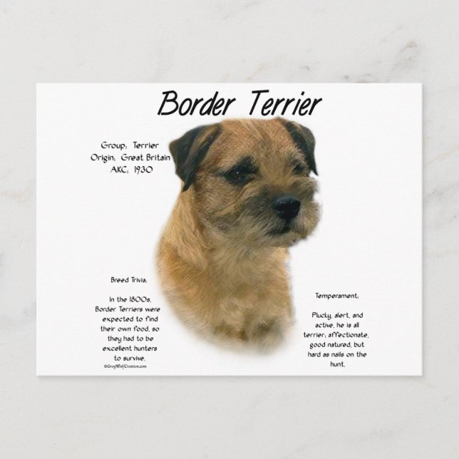 Cartão Postal Design de Histórico de Terrier de Borda (Frente)