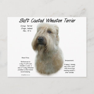 Cartão Postal Design de Histórico de Terrier de Roda Revestida M