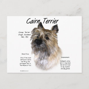 Cartão Postal Design de Histórico de Terrier do Cairn