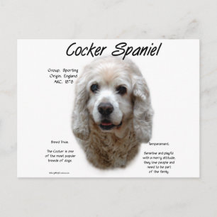 Cartão Postal Design de Histórico do Cocker Spaniel (buff)