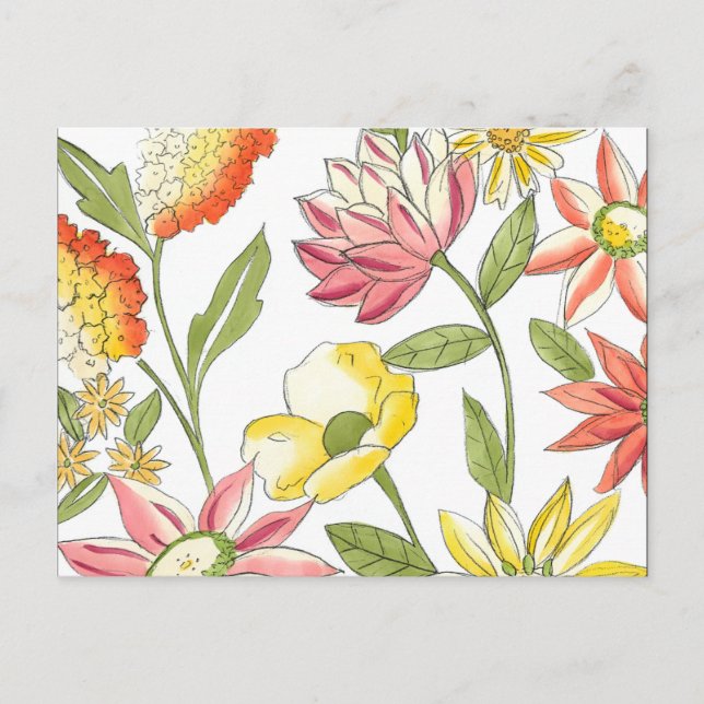 Cartão Postal Design de Jardim Floral com Fundo Branco (Frente)