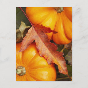 Cartão Postal Design de novembro