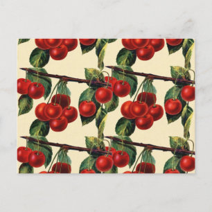 Cartão Postal Design de Papel de Carteira de Fruta Vermelho Anti