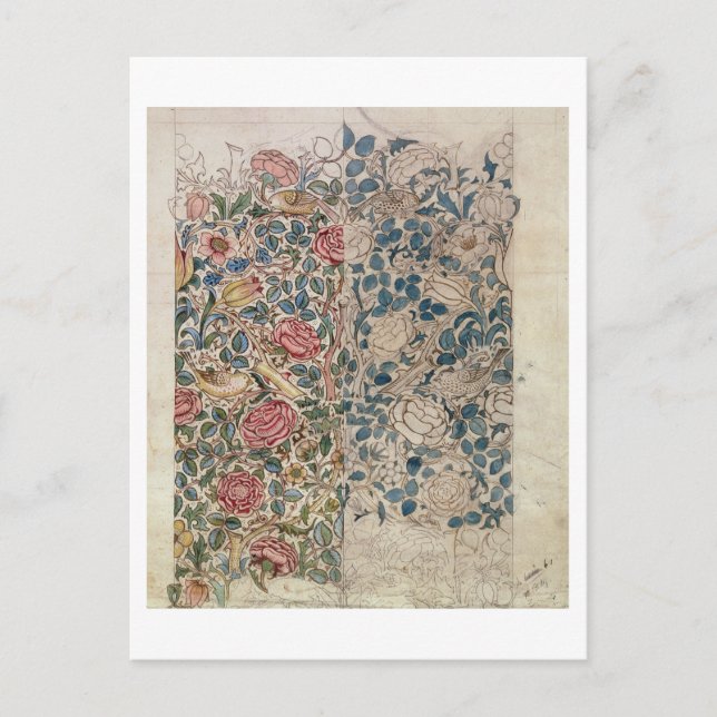 Cartão Postal design de papel de parede 'Rosa' (lápis e c/c no p (Frente)