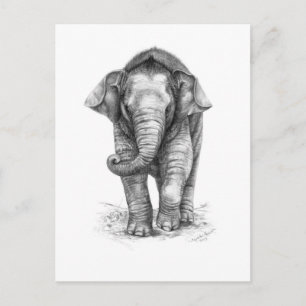 Cartão Postal design do bebê elefante por Schukina G046