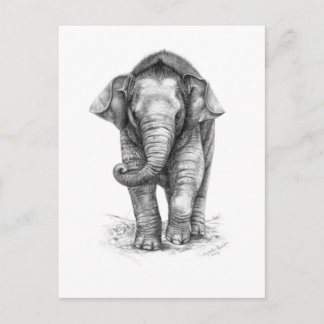 Cartão Postal design do bebê elefante por Schukina G046