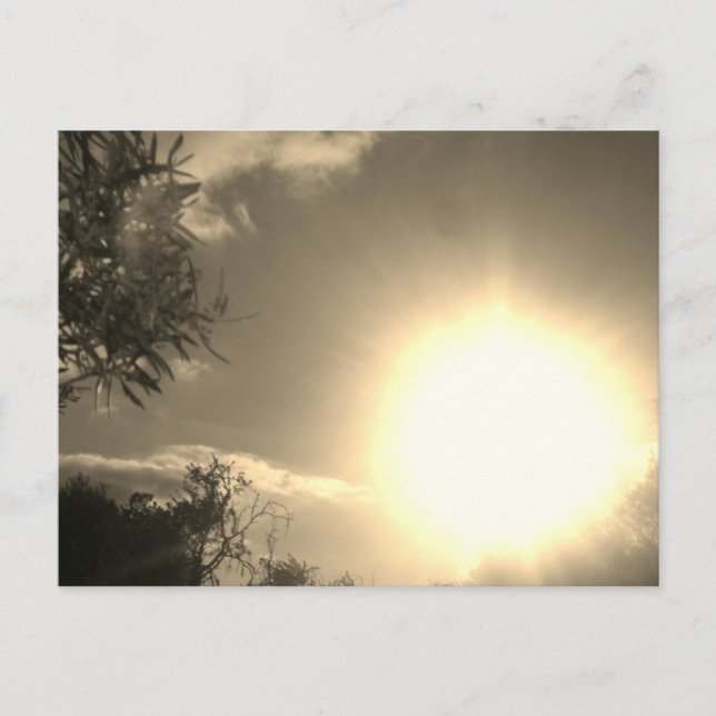 Cartão Postal Design do estilo de luz solar do cartão-postal (Frente)