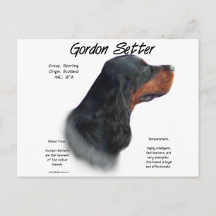 Cartão Postal Design do Gordon Setter History