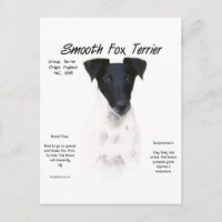 Design do Histórico de Terrier da Raposa Suave
