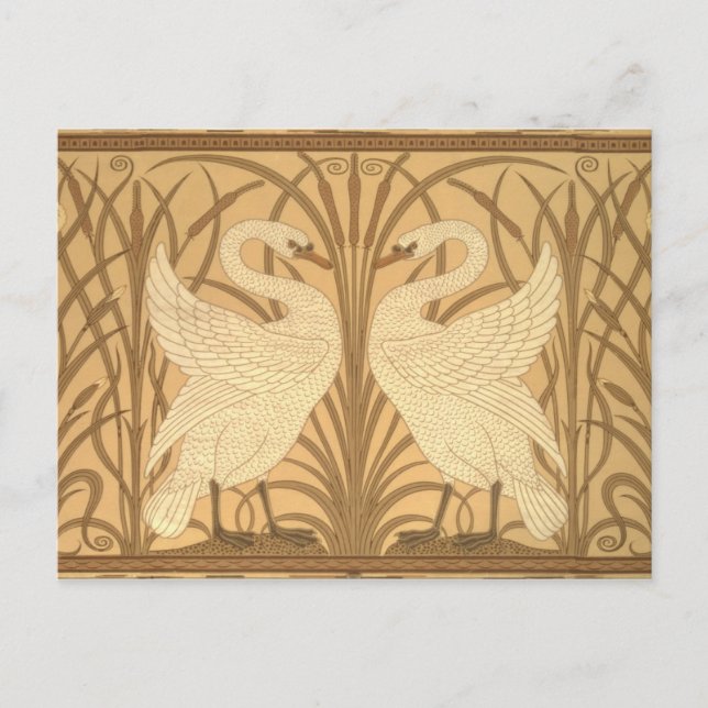 Cartão Postal Design do papel de parede da cisne (Frente)