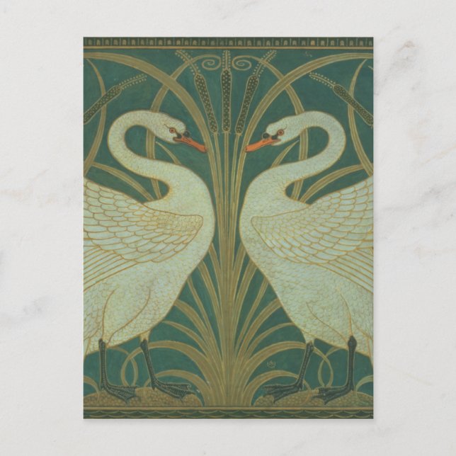 Cartão Postal Design do papel de parede para o painel da "cisne, (Frente)