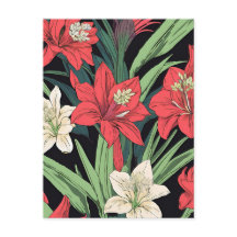Design Floral do Amaryllis Vermelho e Branco