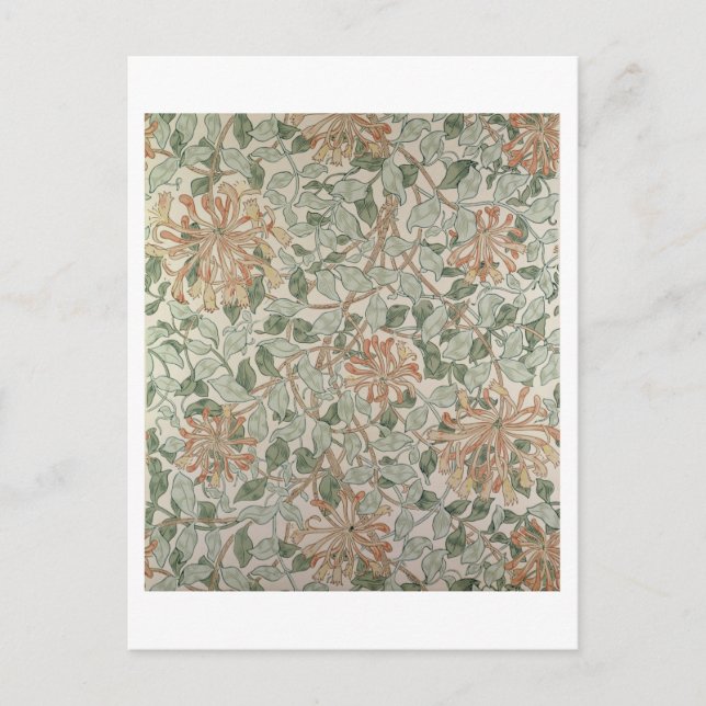 Cartão Postal design 'Honeysuckle II' (Frente)