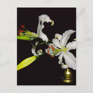 Cartão Postal Design irlandês - Coleção de latas e flores