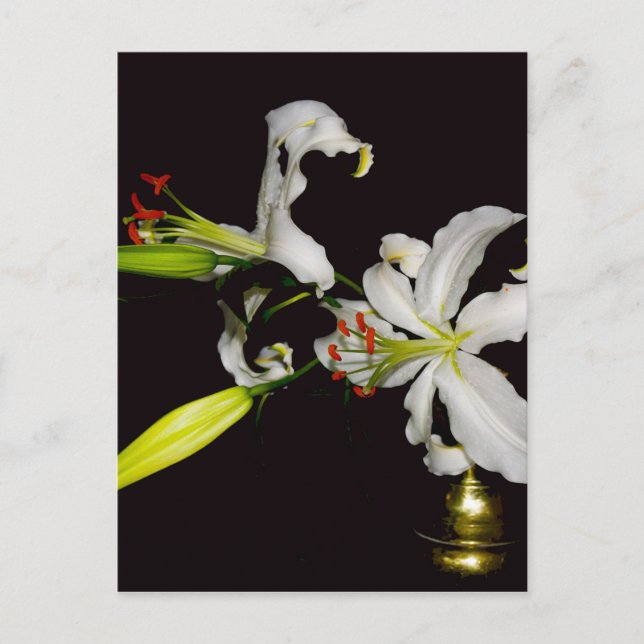 Cartão Postal Design irlandês - Coleção de latas e flores (Frente)