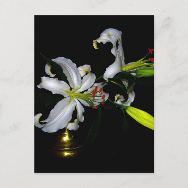 Cartão Postal Design irlandês e Design de flores (Frente)