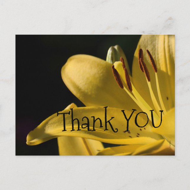 Cartão Postal Design 'LiLi-Yellow' (Frente)