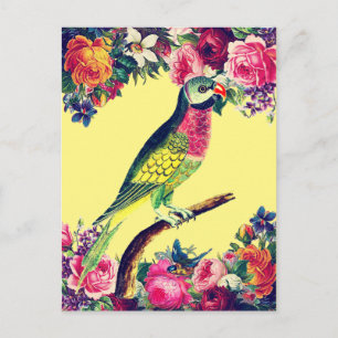 Cartão Postal Design Vintage de Papagaio Tropical