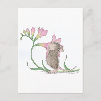 Cartão Postal Designs para mouse doméstico® -