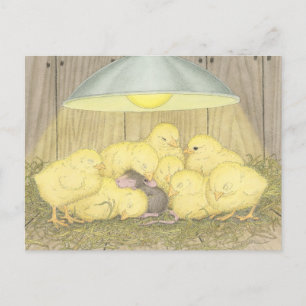 Cartão Postal Designs para mouse doméstico® - Placas Postadas