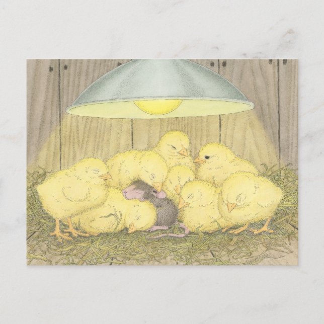 Cartão Postal Designs para mouse doméstico® - Placas Postadas (Frente)