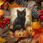 Cartão Postal Desligamento de Abóbora Preta de Gato Vintage<br><div class="desc">Este design pode ser personalizado escolhendo a opção Editar Design. Você também pode transferir para outros itens. Entre em contato comigo em colorflowcreations@gmail.com ou use a opção de bate-papo no topo da página se você quiser ter este design em outro produto ou precisar de assistência. Veja mais designs ou siga-me...</div>