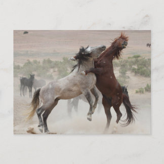 Cartão Postal Desligar