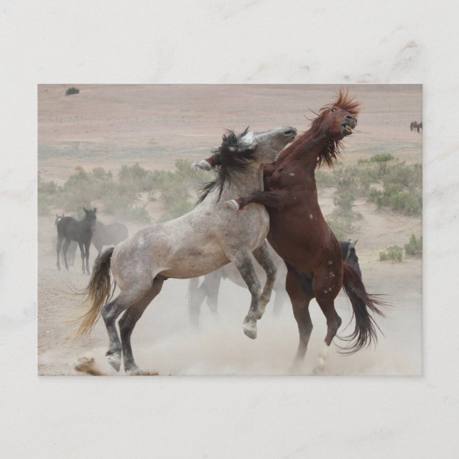 Cartão Postal Desligar (Frente)