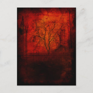 Cartão Postal Desolar