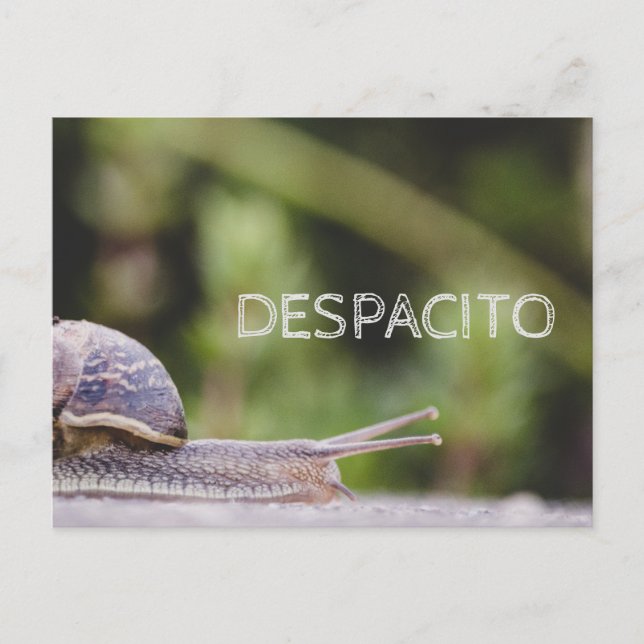 Cartão Postal Despacito (Frente)
