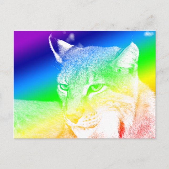 Cartão Postal Destaques Arco-íris Lynx (Frente)