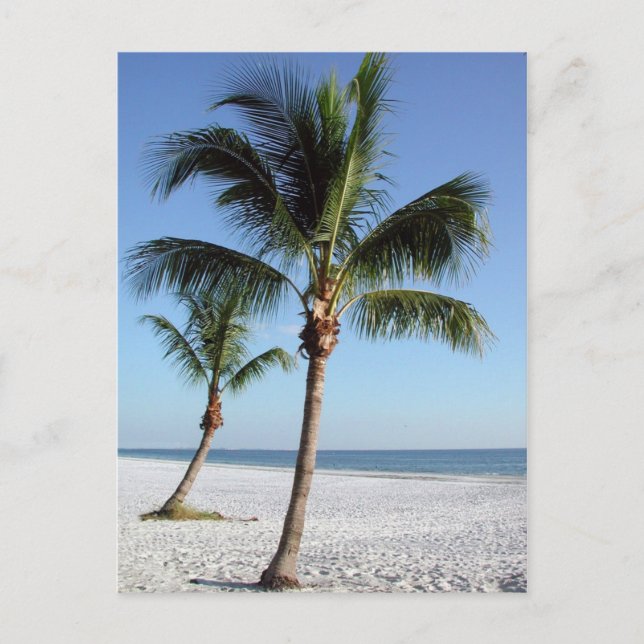 Cartão Postal Destin Florida (Frente)