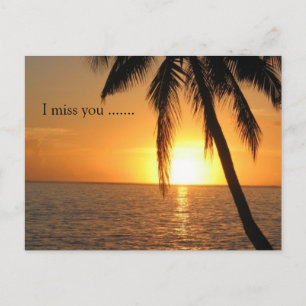 Cartão Postal Destino de Amor à Paz na Praia Sunset Palm