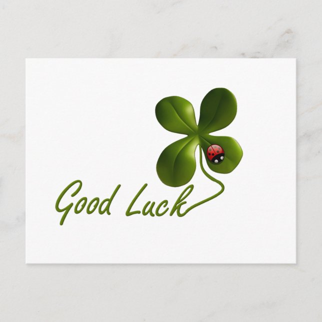 Cartão Postal Destino Personalizado Do Escritório De Besouros De (Frente)