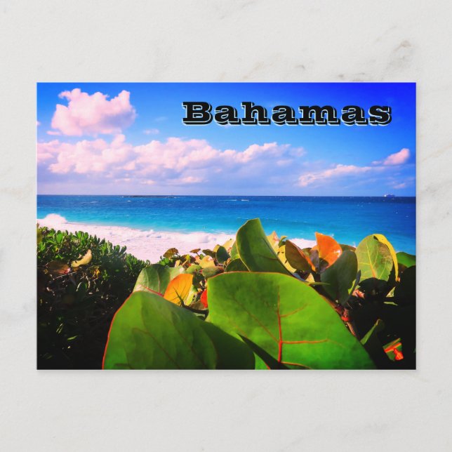 Cartão Postal Destino Tropical Personalizado Vibrante (Frente)