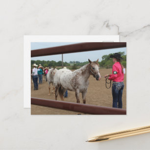 Cartão Postal Destreza em Exposição de Cavalos