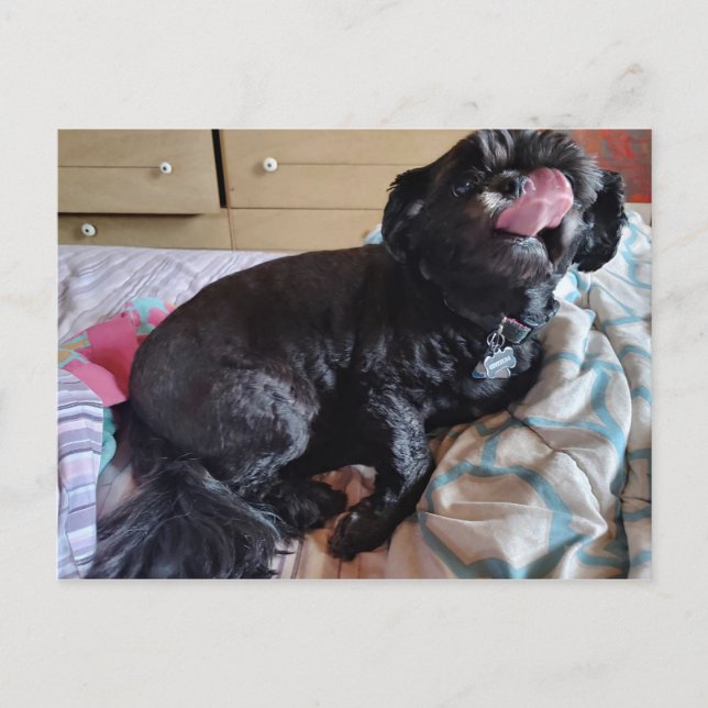 Cartão Postal Desvio da língua (Frente)